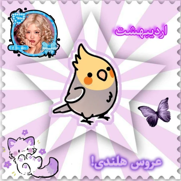 عکس