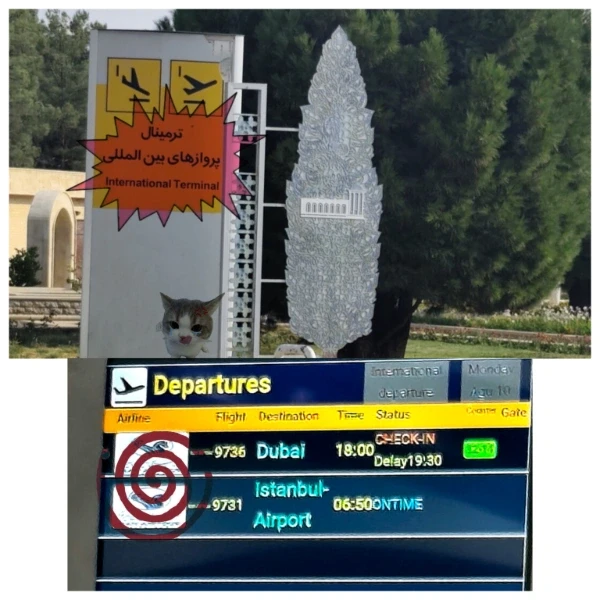عکس