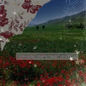 کاور