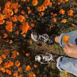 عکس بیوگرافی