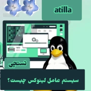 کاور