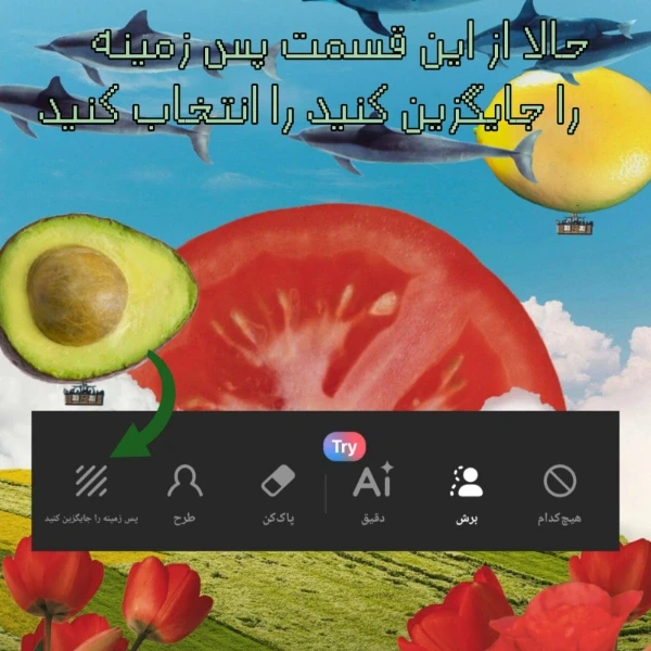 عکس