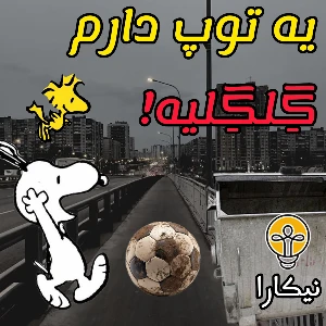 کاور