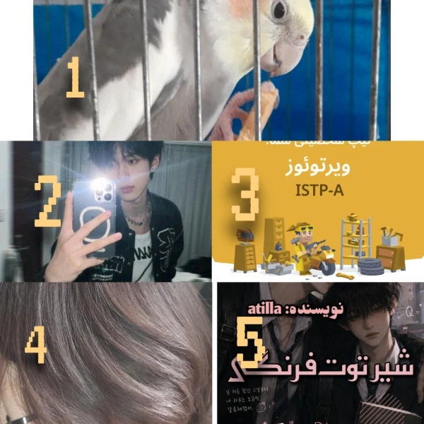 عکس