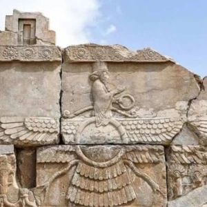 کاور