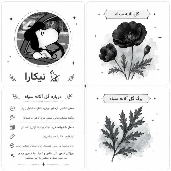عکس