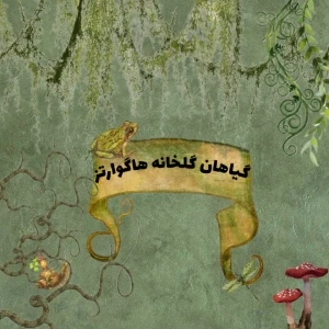 کاور