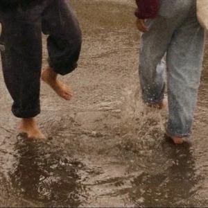 کاور