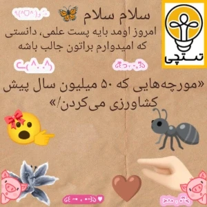 کاور