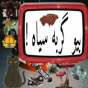 عکس گربه سیاه خیابونی !