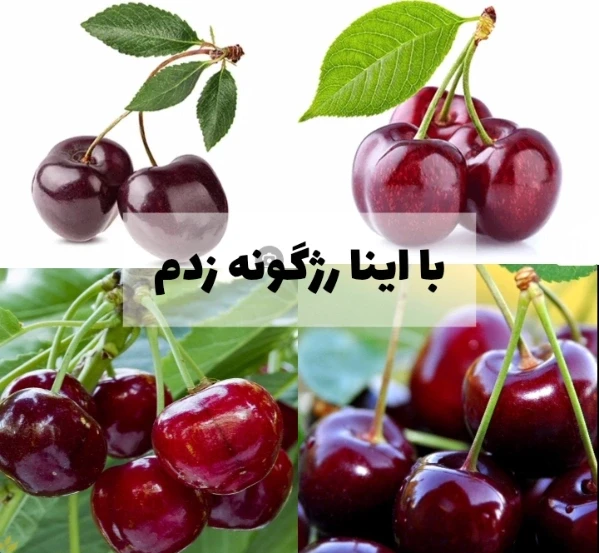 عکس