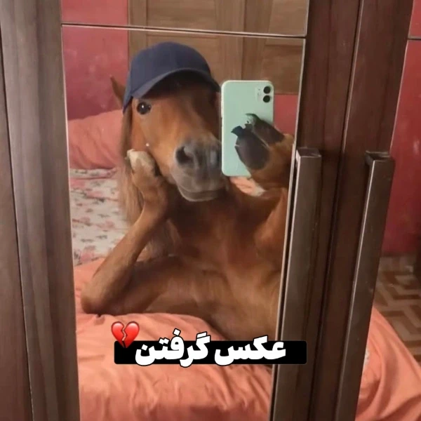 عکس