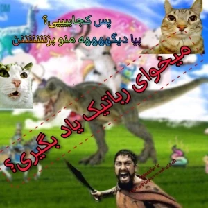 کاور