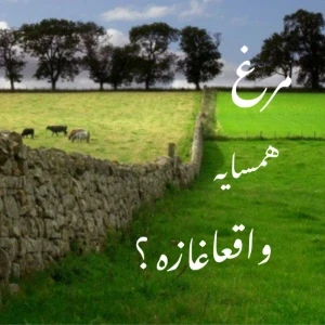 کاور