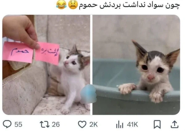عکس
