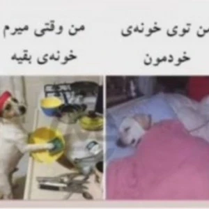 کاور