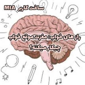 عکس رازهای خواب:مغزت موقع خواب چیکار میکنه؟