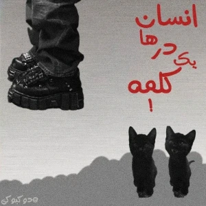 کاور