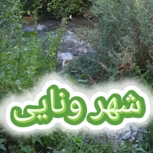 کاور