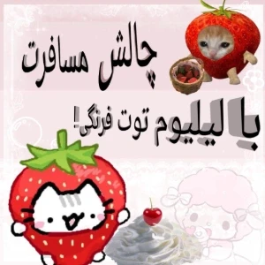 کاور