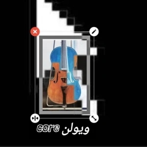 کاور