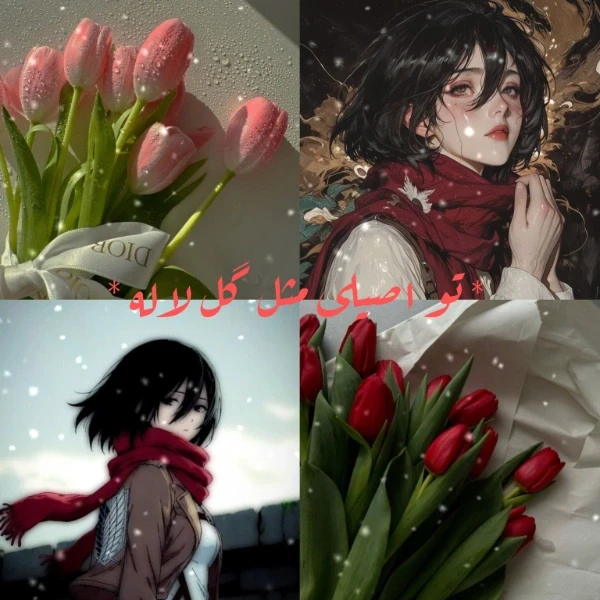 عکس