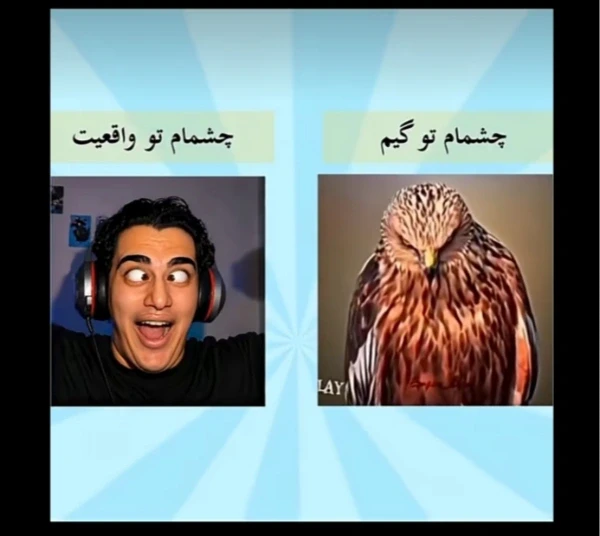 عکس