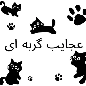 عکس}