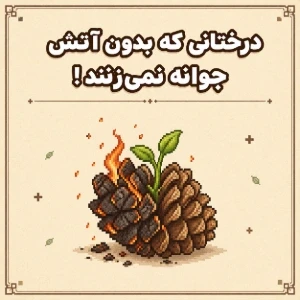 کاور