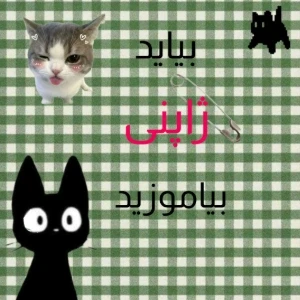 کاور