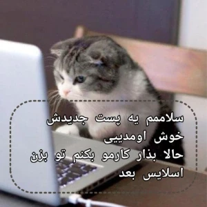 کاور