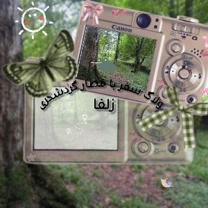 کاور