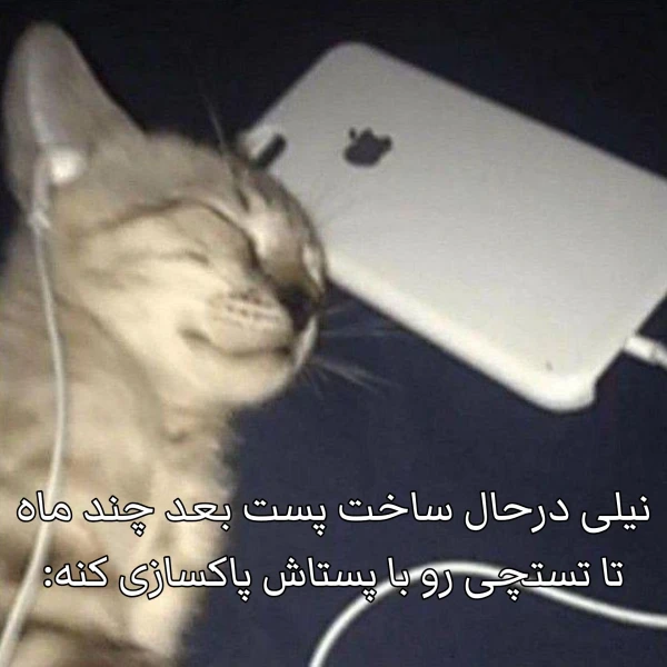 عکس
