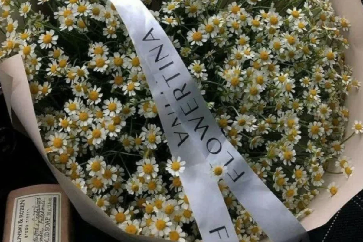 عکس کمی نکته