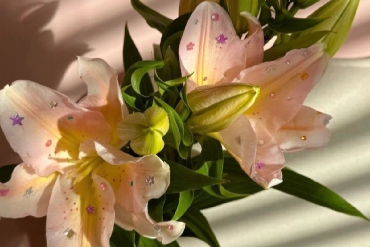 عکس مخفف های انگلیسی