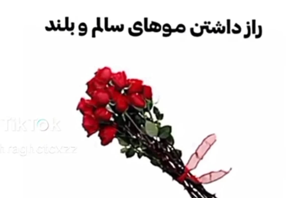 عکس راز داشتن موهای سالم و بلند