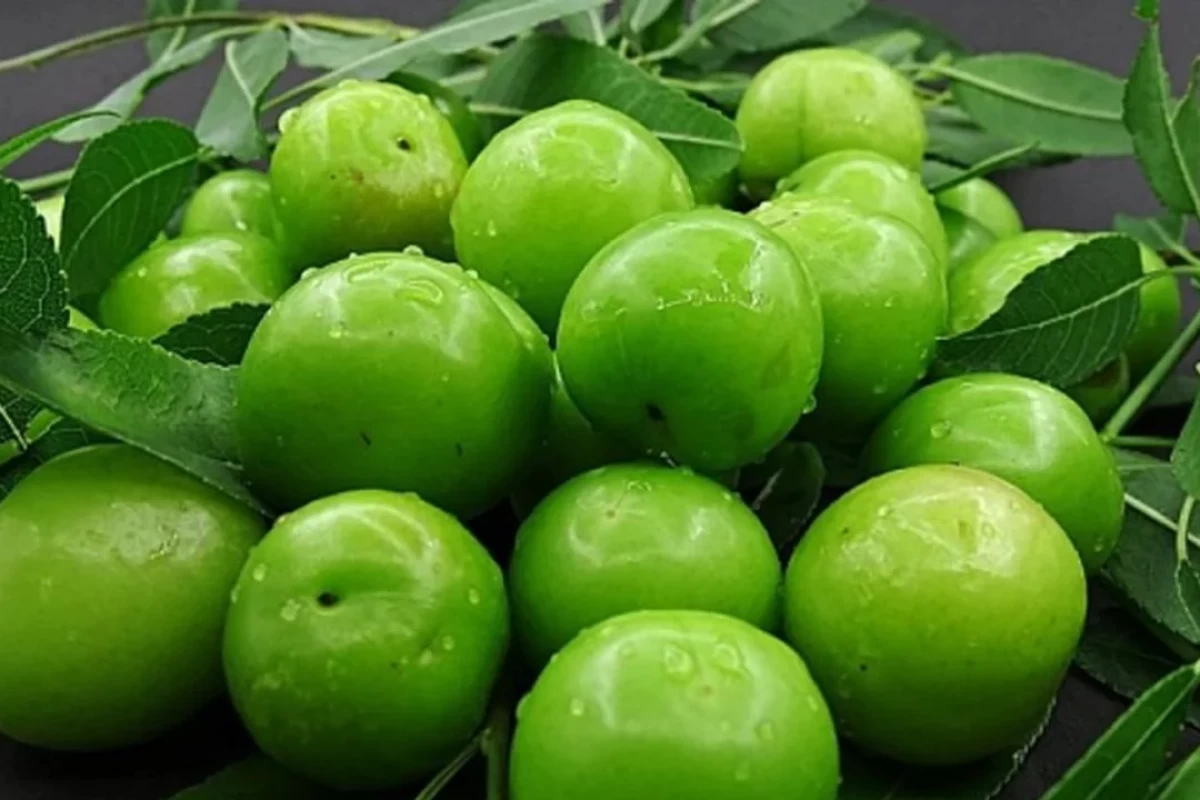 عکس یه شاهکار درست کن🫒🤤