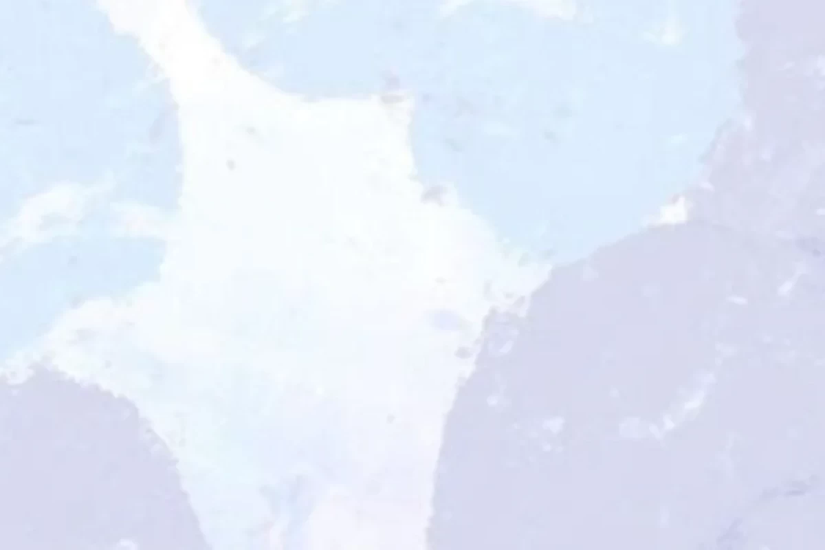 عکس مقداری میم۲