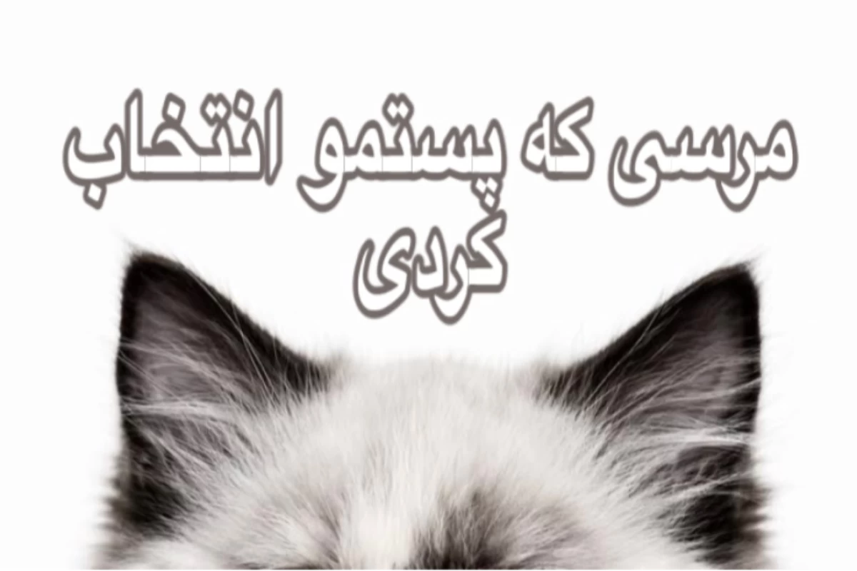 عکس تحـلـیل‌پـست‌هـآی‌شـما !!