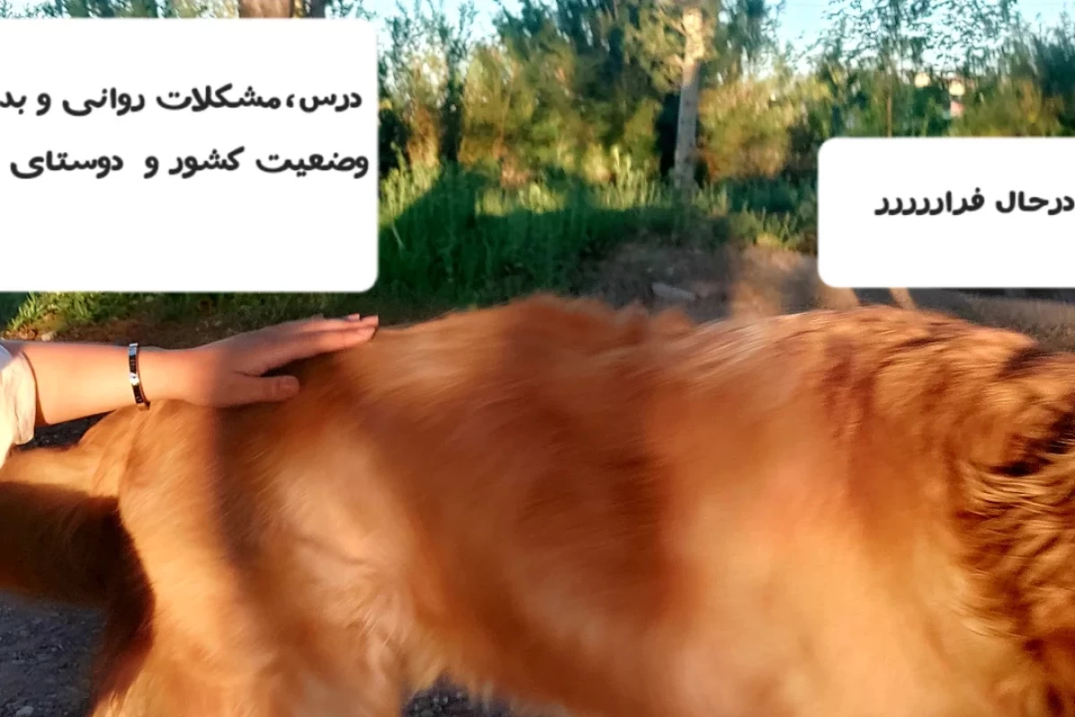 عکس ?Who is Elsana