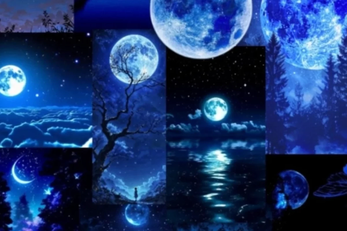 عکس زندگی
