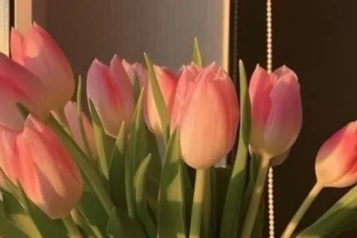 عکس کدوم هوش هیجانی، کلامی یا درون فردی در شما قوی تره؟