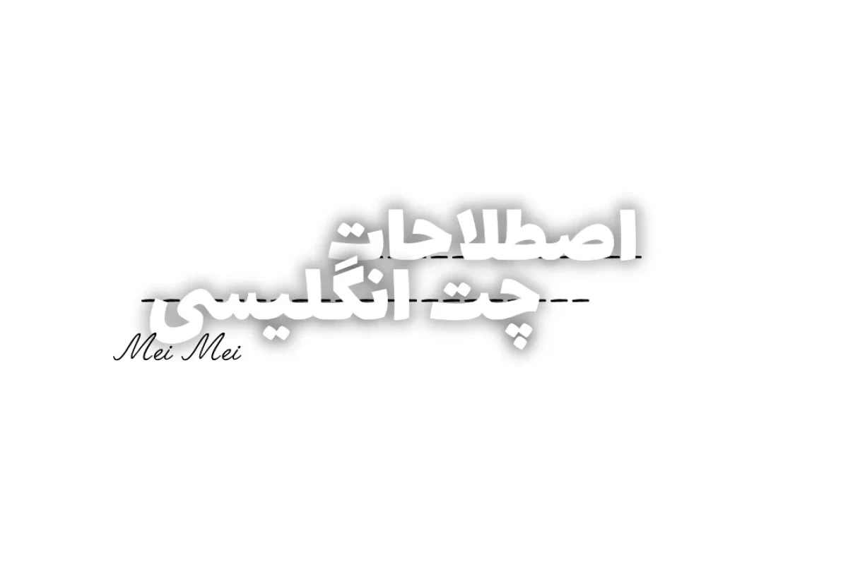 عکس حرفه ای شدن تو چت انگلیسی