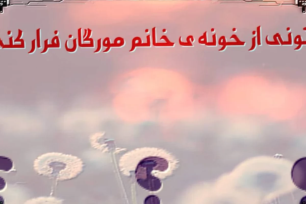 میتونی از خونه ی خانم مورگان فرار کنی؟(p4)