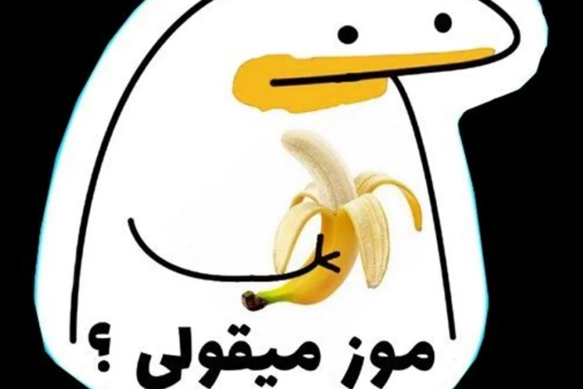 عکس میم با حضور بچه‌های ولگرد