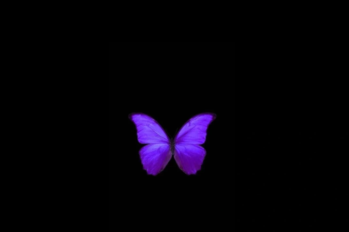 عکس .𝒜𝓋𝒾𝓋𝒶.