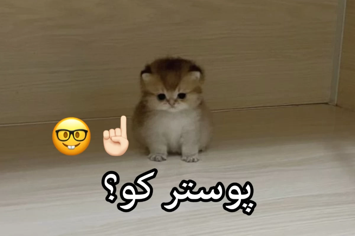 عکس اون فقط یه X عه هیچ چیز خاصی راجبش وجود نداره!