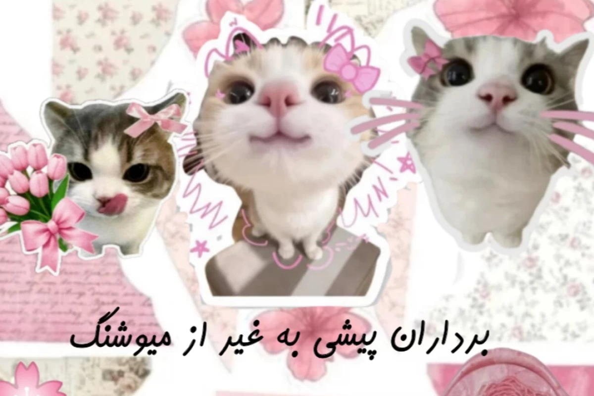 عکس bio