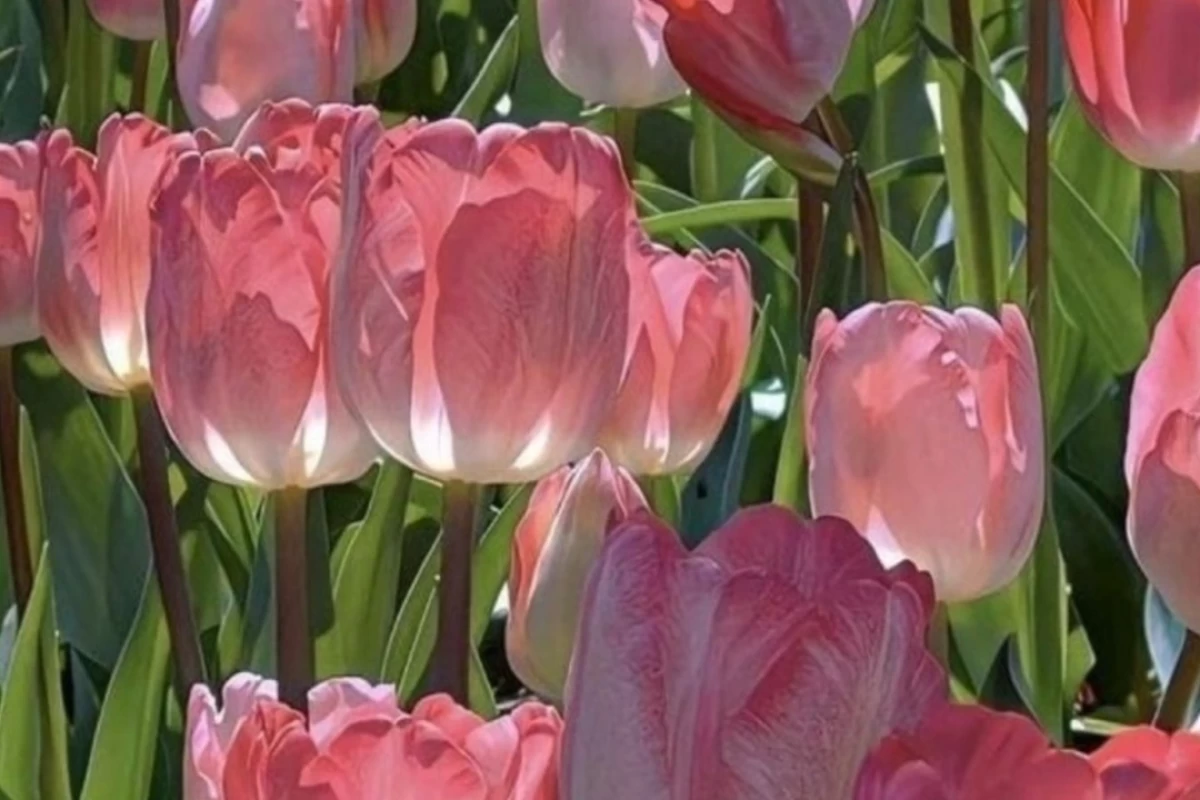 عکس چرا مغز ما مدام فکر می‌کند؟ دور از کلیشه، برای تویی که خسته ای