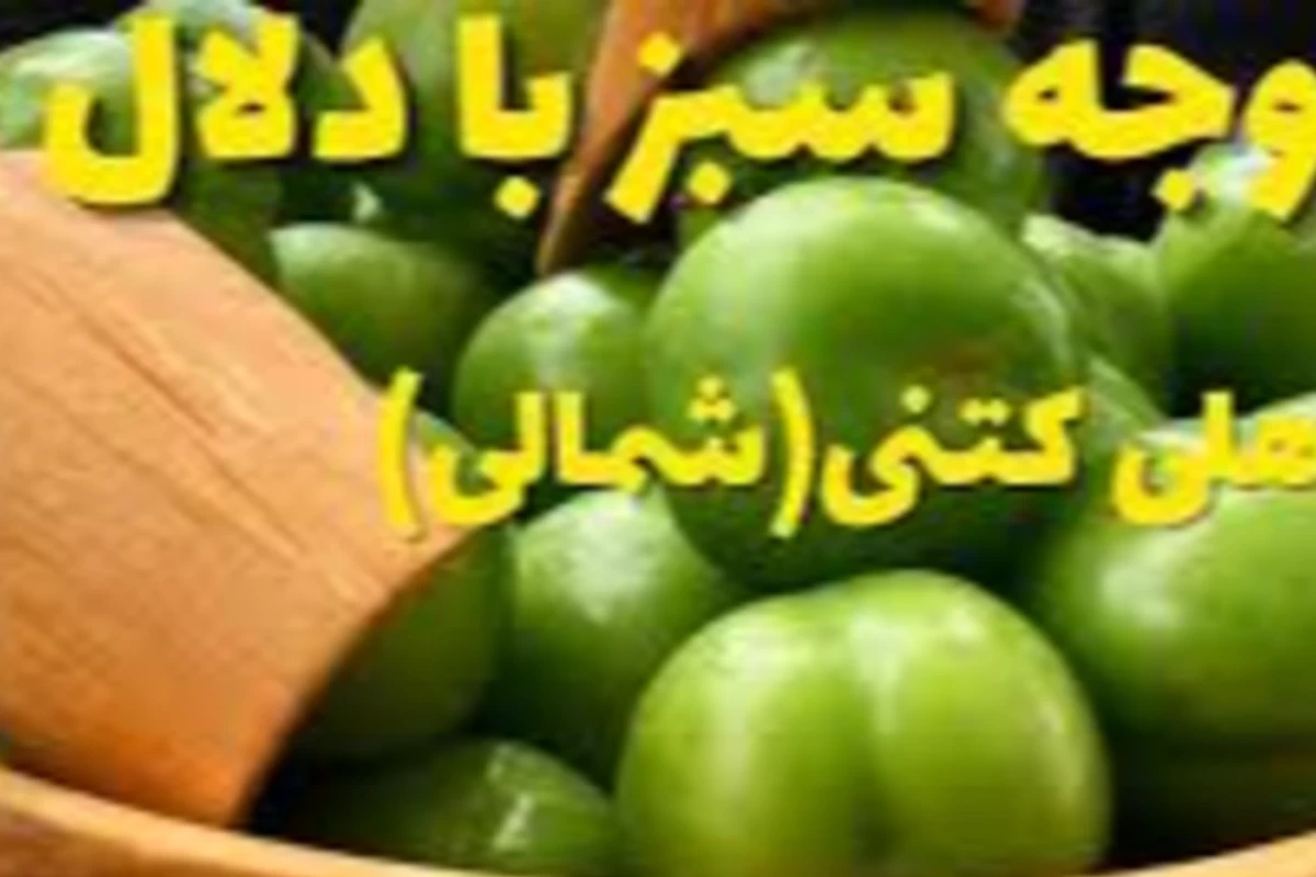 عکس غذای ساد ههلی کتنی